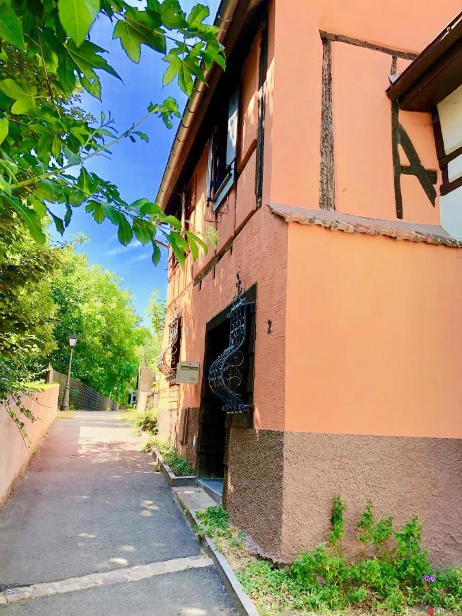 Gite "Rempart Sud" A Ribeauville 외부 사진