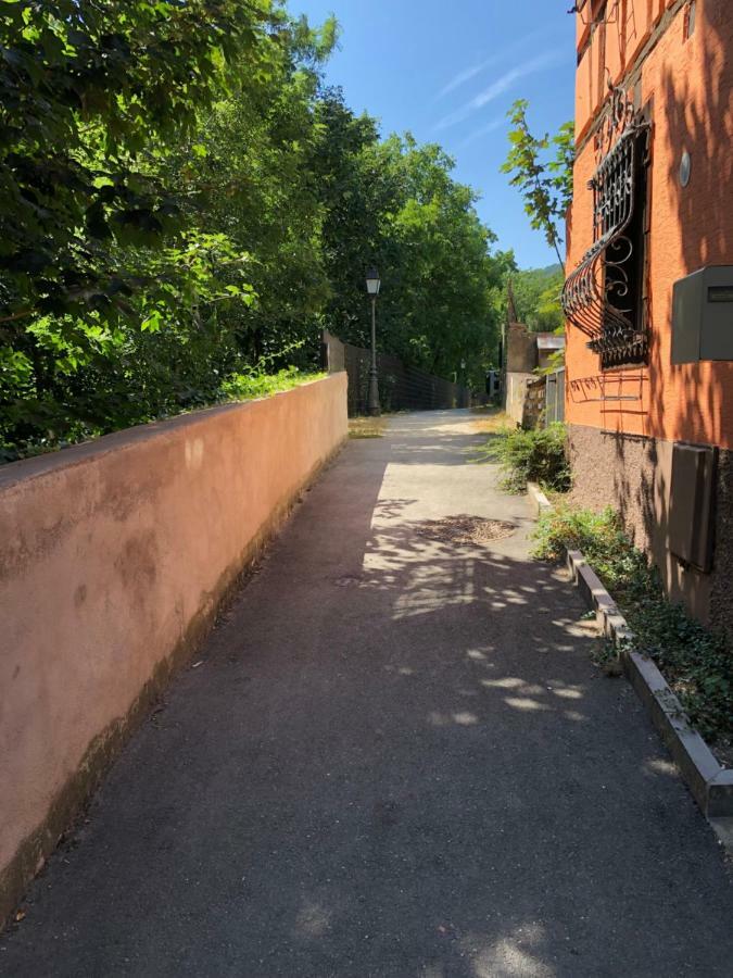 Gite "Rempart Sud" A Ribeauville 외부 사진